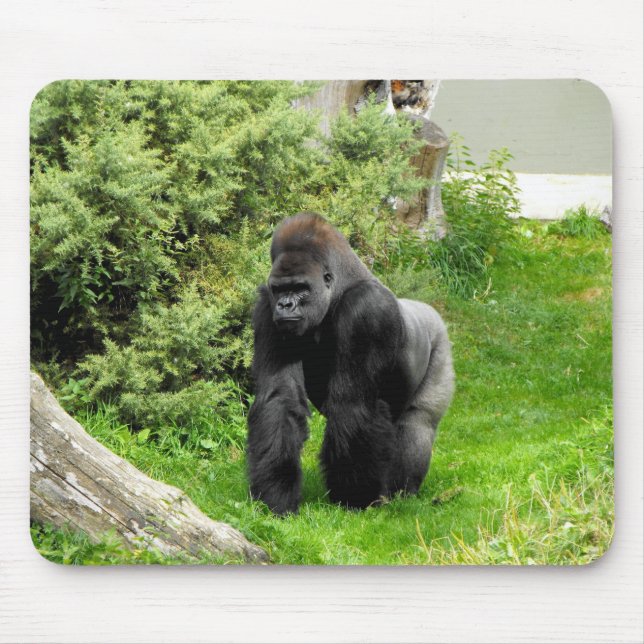 Western Lowland silverback male gorilla Mouse Mat (Front)