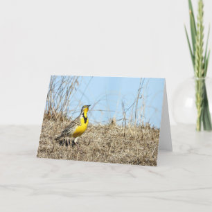 Western Meadow Lark Note Card