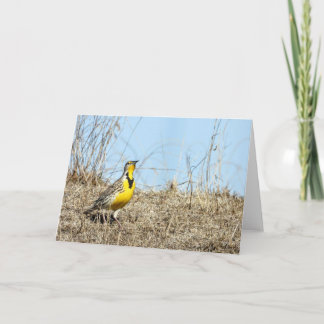 Western Meadow Lark Note Card
