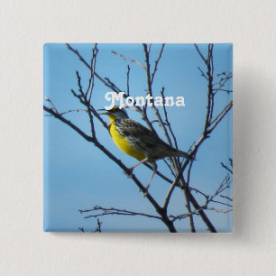 Western Meadowlark 15 Cm Square Badge