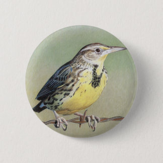 Western Meadowlark 6 Cm Round Badge
