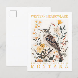 Western Meadowlark Bird of Montana USA Travel Postcard