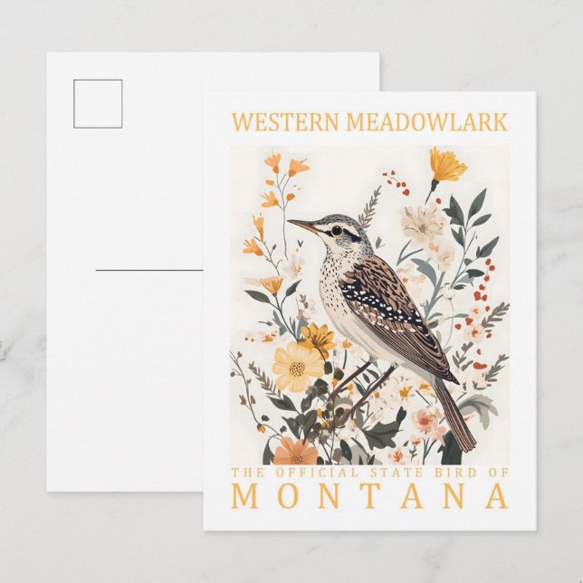 Western Meadowlark Bird of Montana USA Travel Postcard (Front/Back)