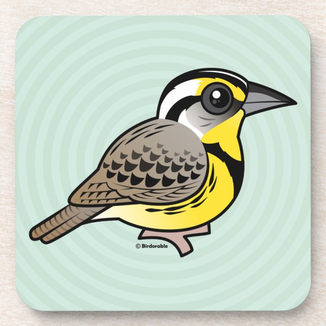 Western Meadowlark Coaster (Front)