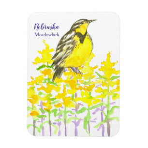 Western Meadowlark Goldenrod Yellow Wildflower Magnet