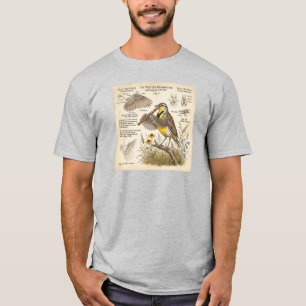 Western Meadowlark Playing Flute – Funny Bird T-Shirt