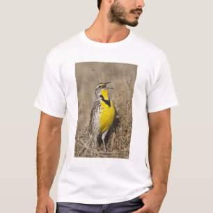 Western Meadowlark (Strunella neglecta) T-Shirt