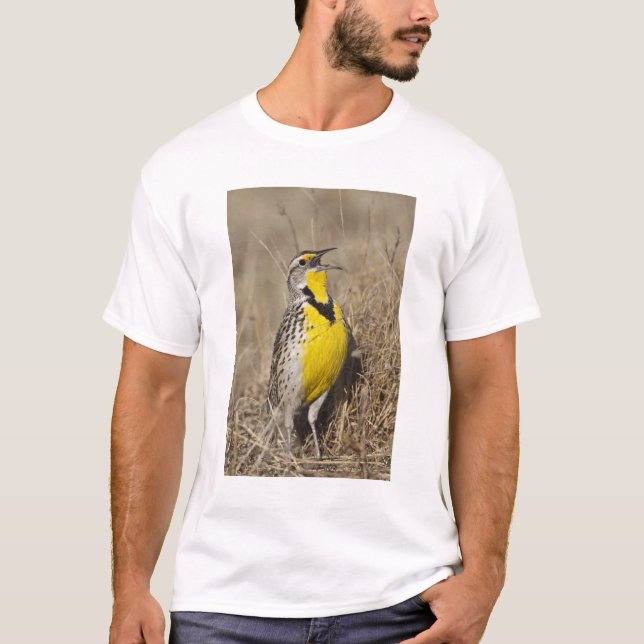 Western Meadowlark (Strunella neglecta) T-Shirt (Front)