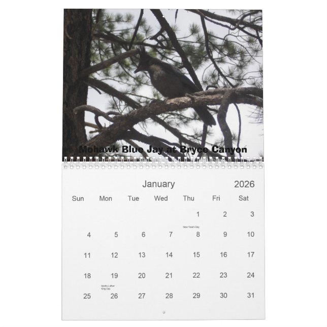 Western National Parks Calendar (Jan 2026)