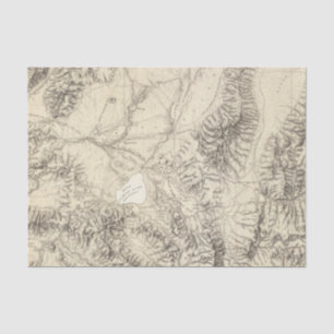 Western Nevada Tissue Paper