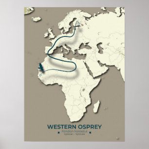 Western Osprey Migration Map – Minimalist Vintage  Poster
