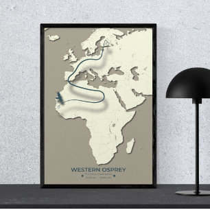 Western Osprey Migration Map – Minimalist Vintage  Poster