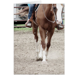 Western Paint Horse