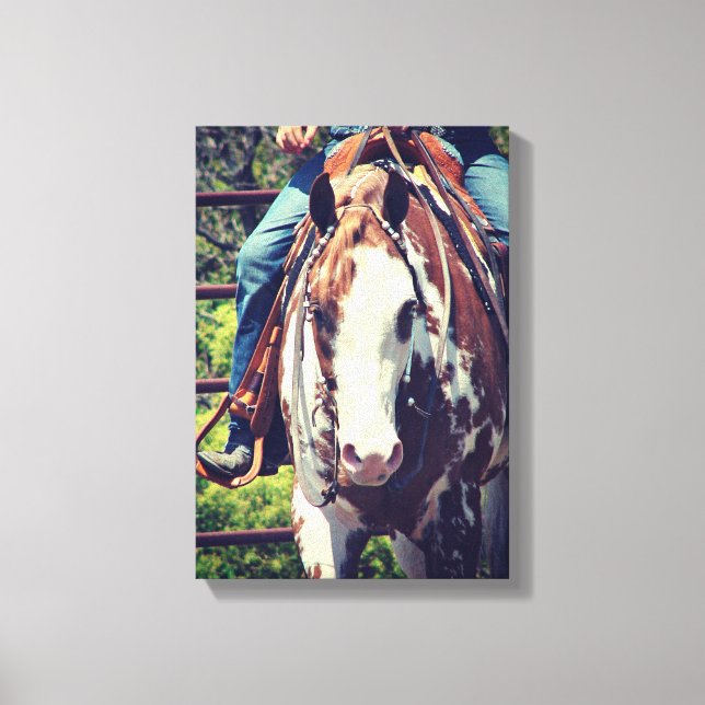 Western Paint Horse Canvas Print (Front)