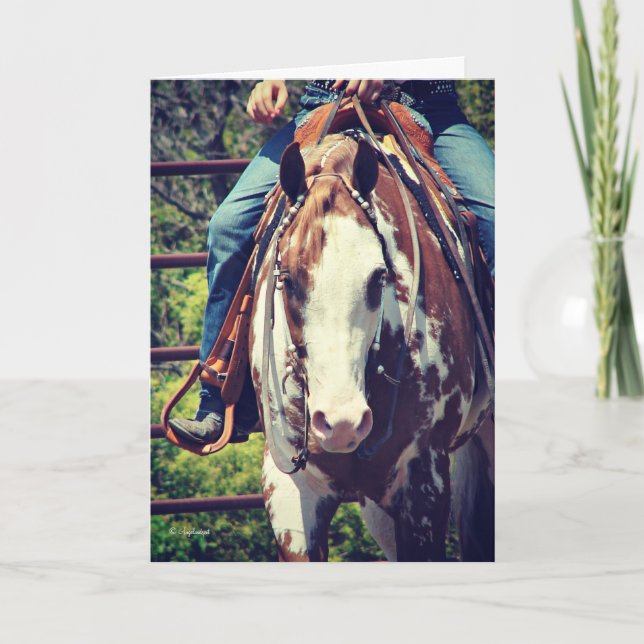 Western Paint Horse, Thank You Card (Front)