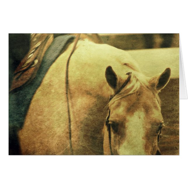 Western Palomino (Front Horizontal)