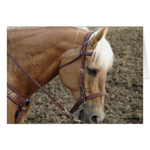 Western Palomino