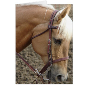 Western Palomino