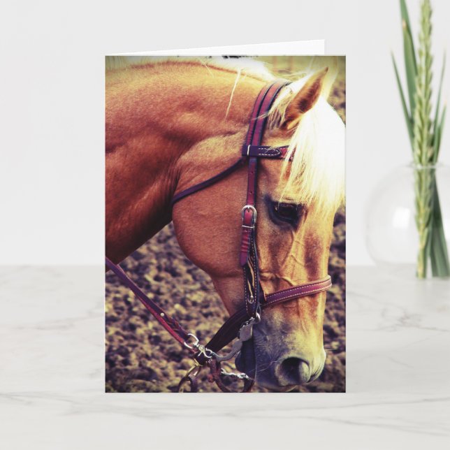 Western Palomino Card (Front)