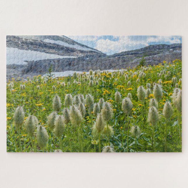Western Pasqueflower | East Kootenay Mountains Jigsaw Puzzle (Horizontal)