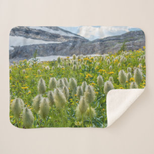 Western Pasqueflower   East Kootenay Mountains Sherpa Blanket