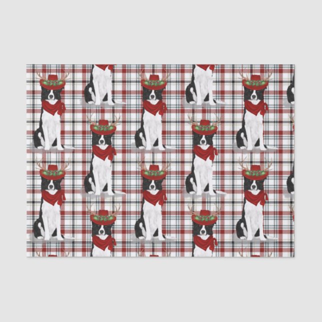 Western Plaid and Christmas Border Collie Lover Tissue Paper (Front)