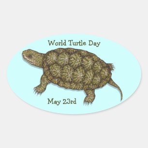 Western Pond Turtle Oval Sticker