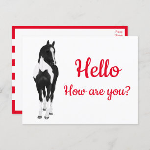 Western Pony Watercolor Black White Horse Hello P Postcard