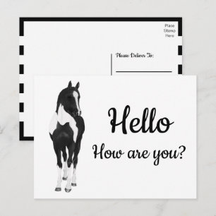 Western Pony Watercolor Black White Horse Hello Postcard