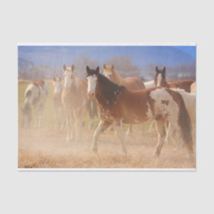 Western Ranch Horses Tissue Paper