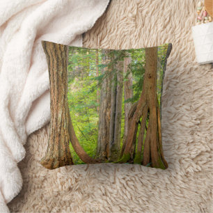 Western Red Cedar Tree Washington State Cushion