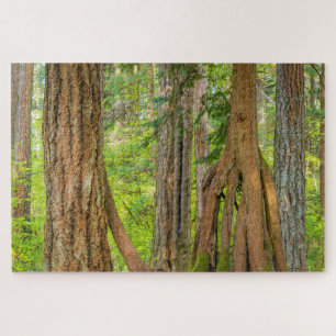 Western Red Cedar Tree   Washington State Jigsaw Puzzle