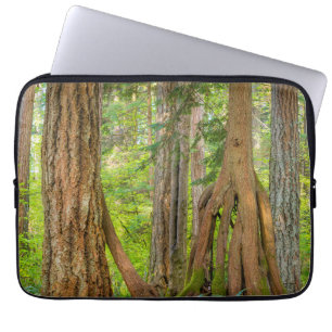 Western Red Cedar Tree Washington State Laptop Sleeve