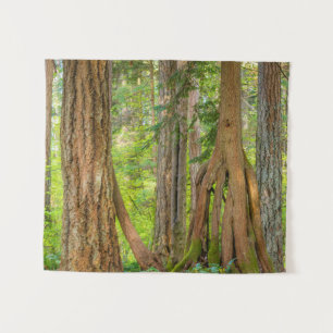 Western Red Cedar Tree   Washington State Tapestry