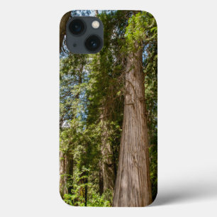 Western Red Cedar Trees iPhone 13 Case