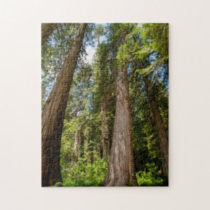 Western Red Cedar Trees Jigsaw Puzzle