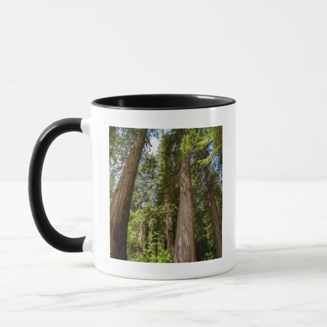 Western Red Cedar Trees Mug (Left)