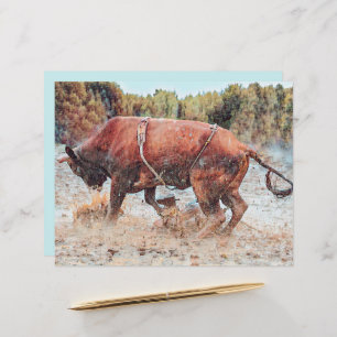 Western Rodeo Bull Country Cowboy Vintage Rustic