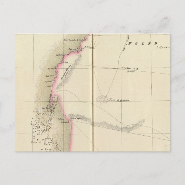 Western Sahara, Africa 12 Postcard (Front)