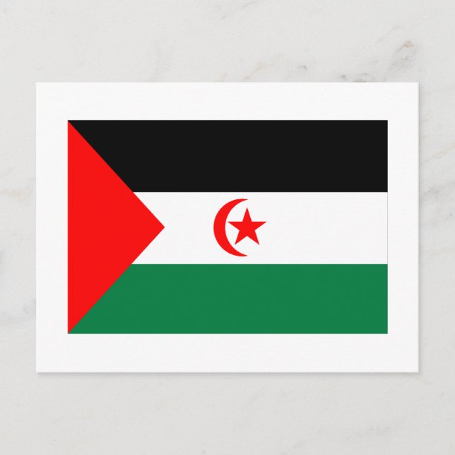 Western Sahara Flag Postcard (Front)