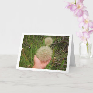 Western Salsify Plants Card