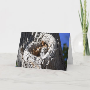 Western Screech Owl in the Heart of the Tree Card