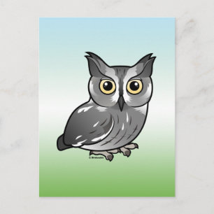 Western Screech Owl Postcard