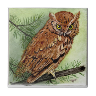Western Screech Owl Tile