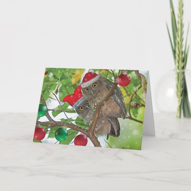 Western Screech Owls Christmas Holiday Card (Front)