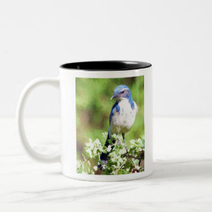Western Scrub Jay Two-Tone Coffee Mug