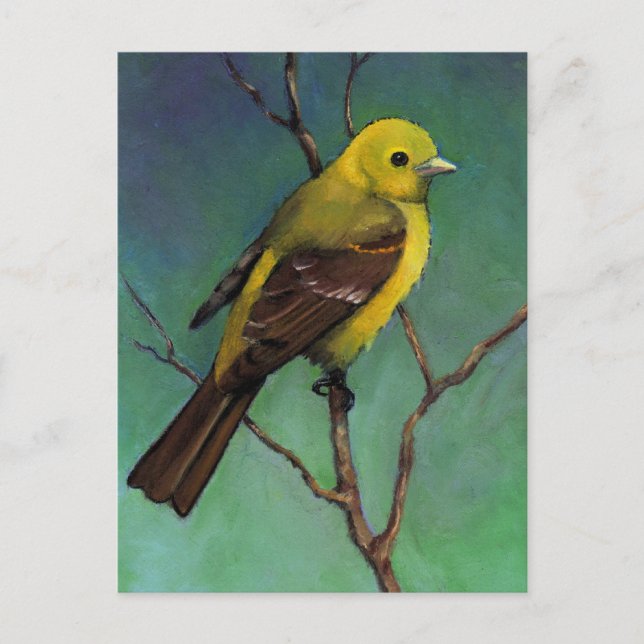 Western Tanager: Bird in Oil Pastel Postcard (Front)
