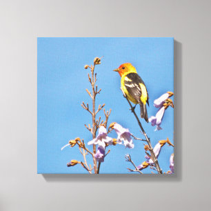 Western Tanager Canvas Print