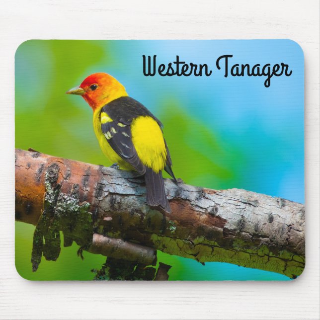 Western Tanager  Mouse Mat (Front)