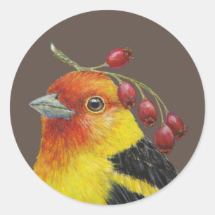 Western tanager stickers